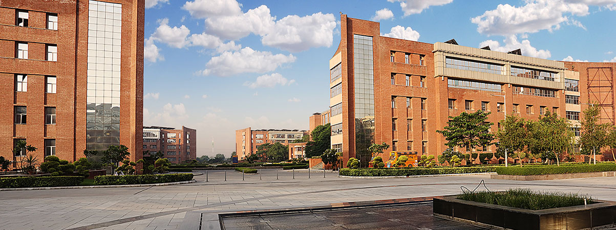 Amity University